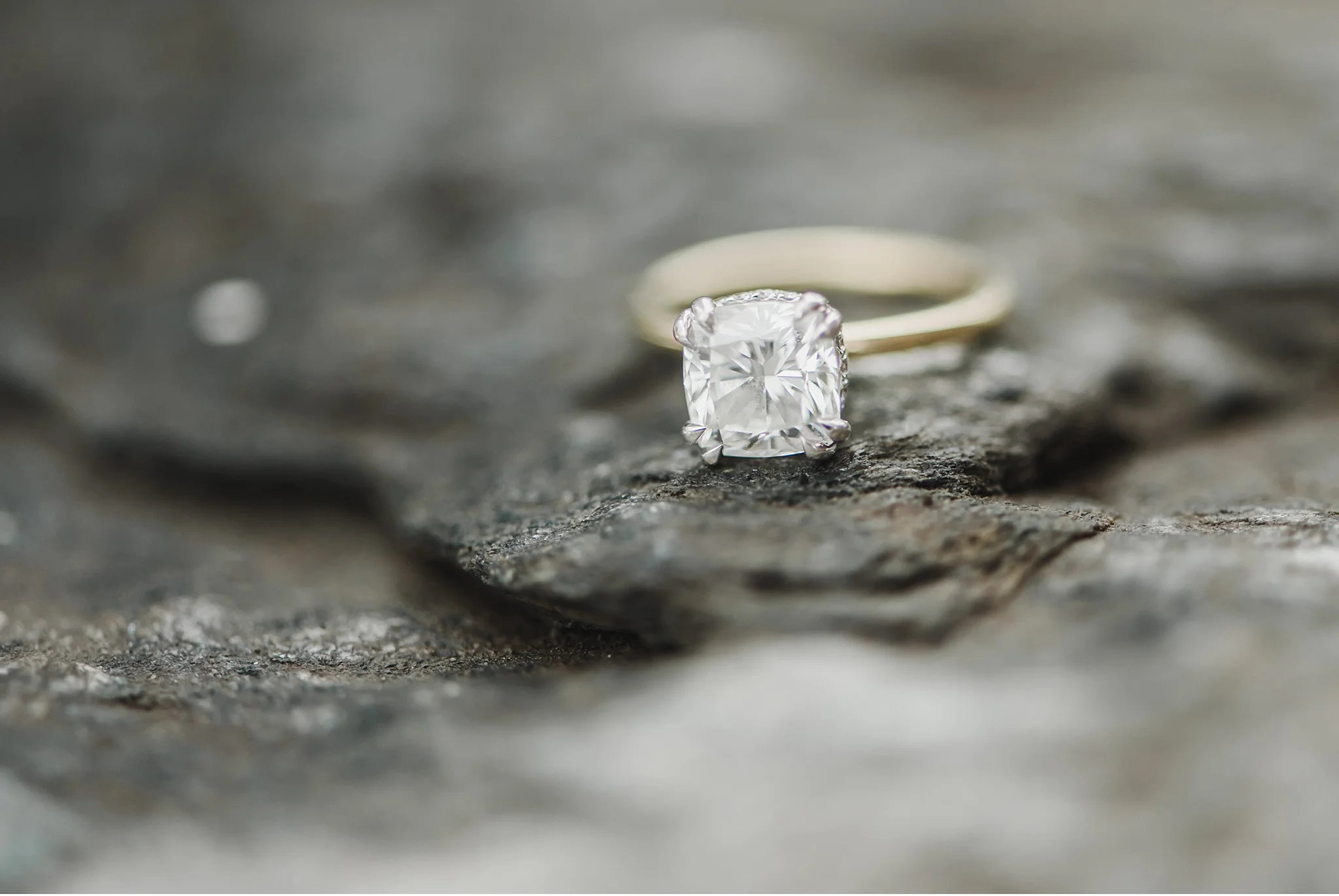 Longwood Gardens Orchid Engagement Wedding Photography_3003.jpg