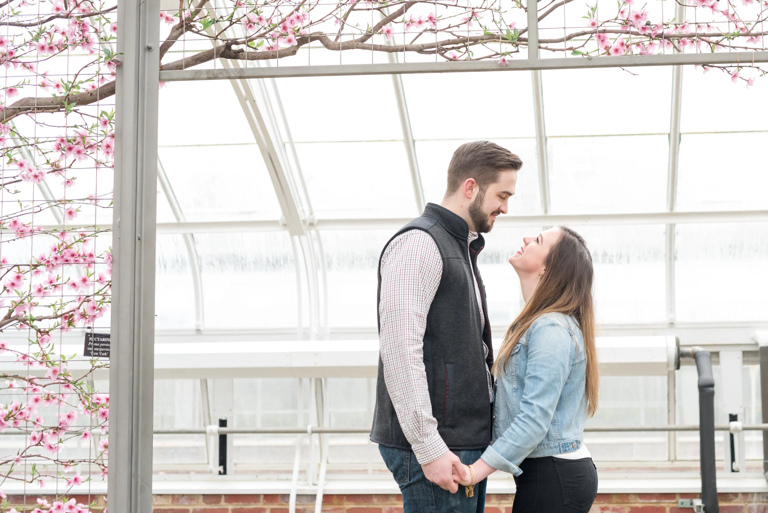 Hannah and Jared Engagement-139.jpg