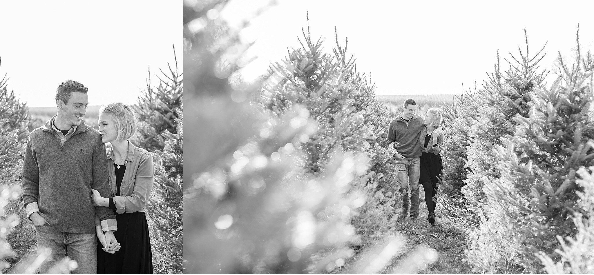 Kristi and Dustin Lancaster Christmas Tree Farm Engagement
