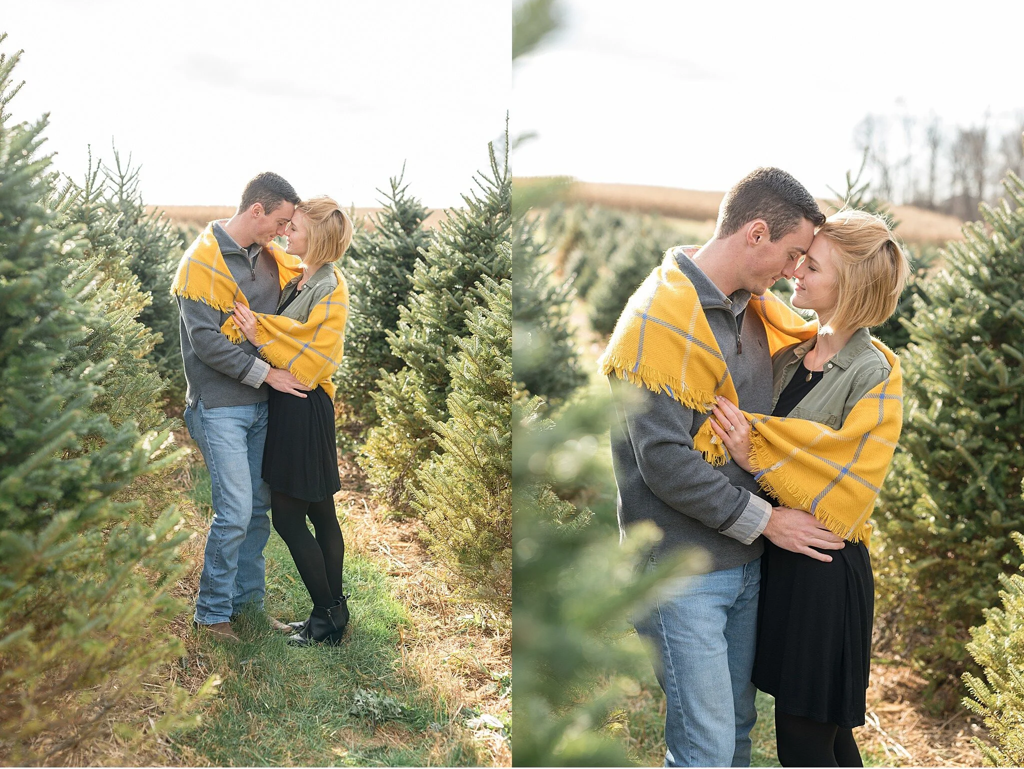 Kristi and Dustin Lancaster Christmas Tree Farm Engagement
