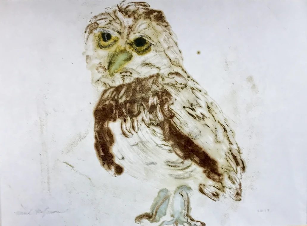 Based on Birds #23, 2018