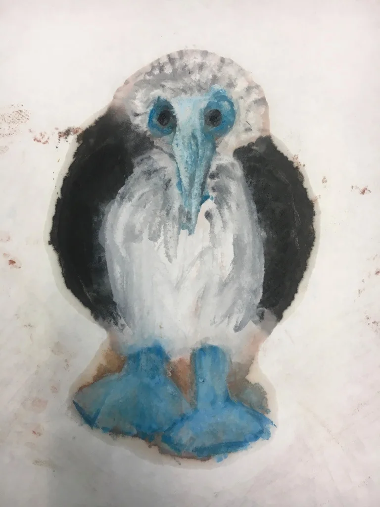 Based on Birds #27, 2018