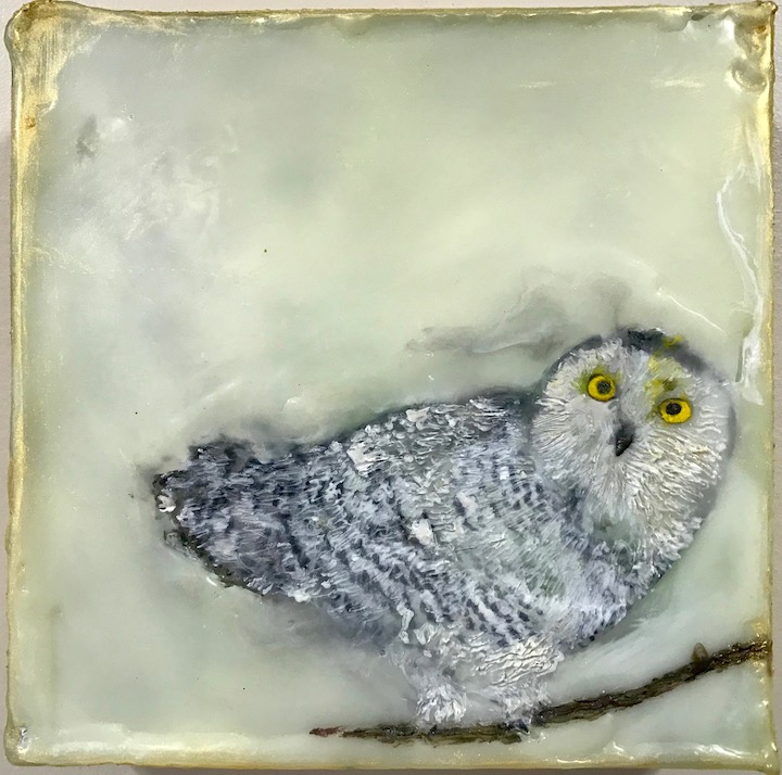 WHO, ME?, 2018