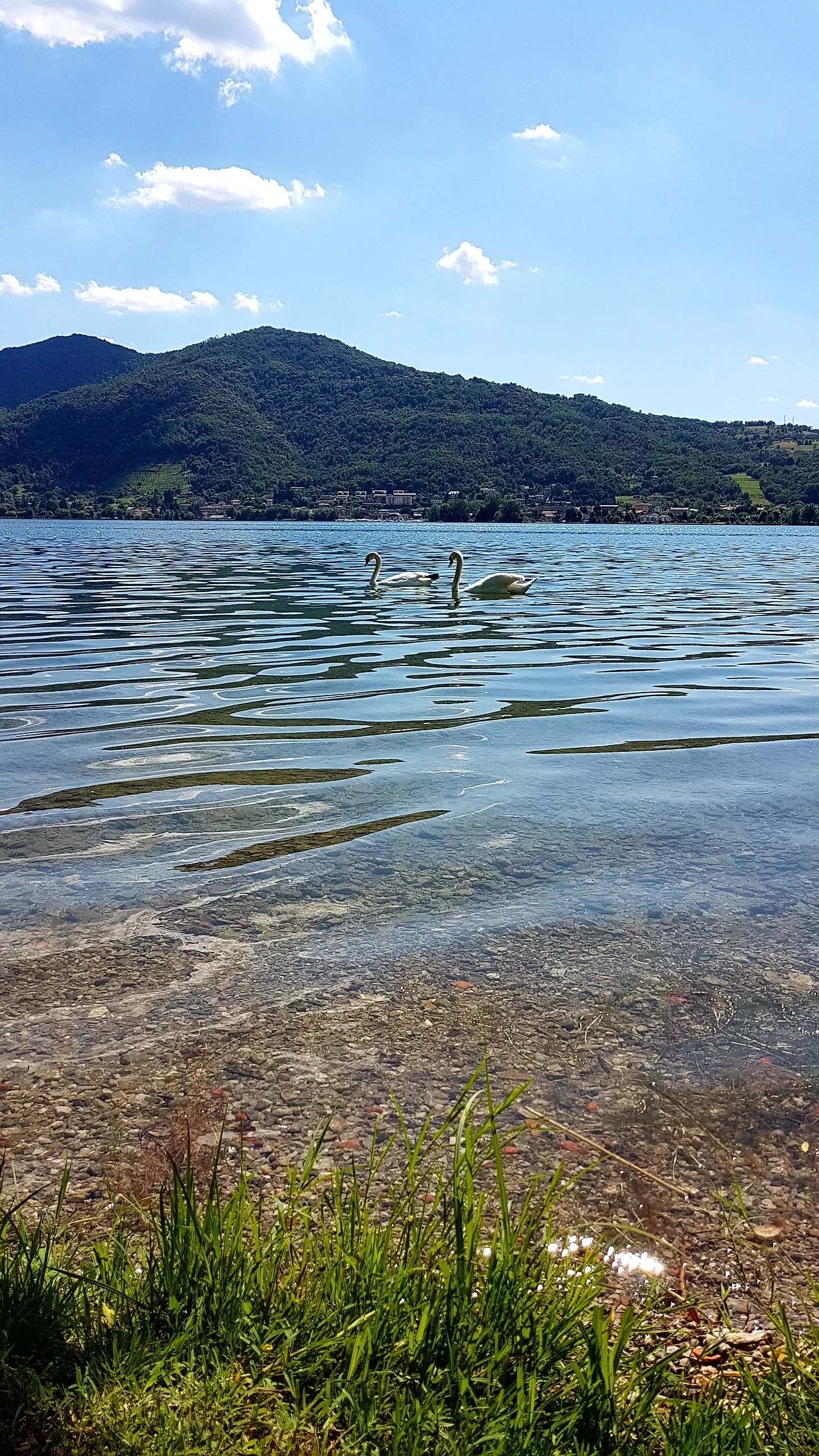 20180614_155604.jpg