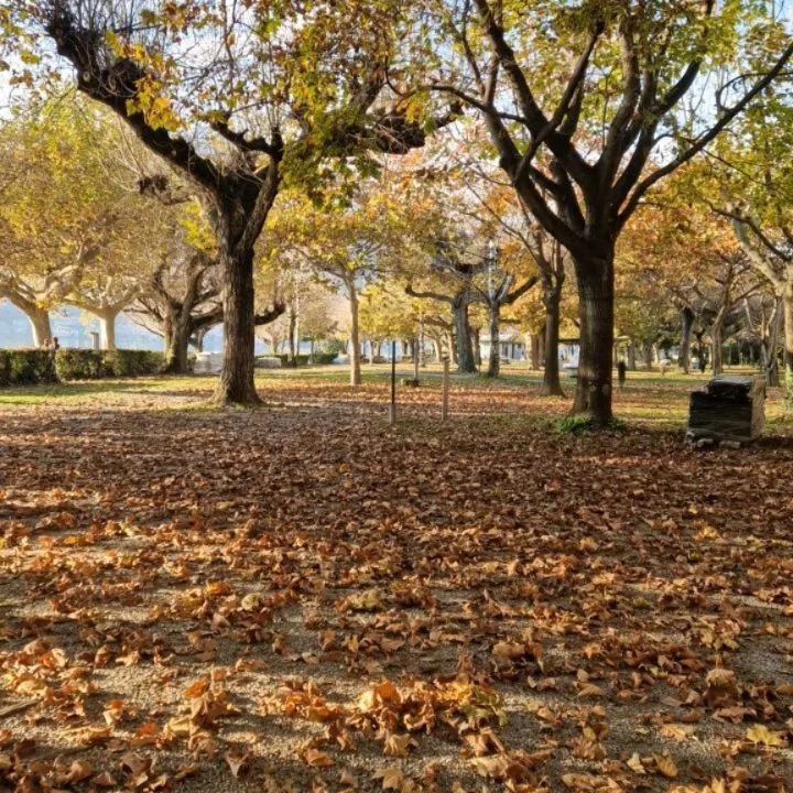 Herfstkleuren op #campingrivabella!

Wist je dat de camping openbaar park is buiten het campingseizoen? Zo blijft het toch een levendige boel en een goed benut stukje natuur!