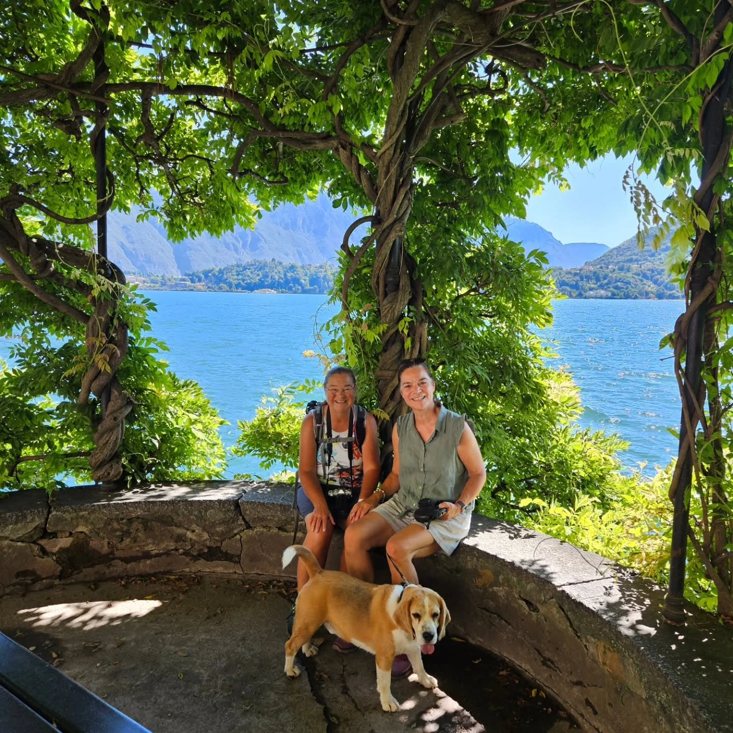 Een stukje wandelen van de Greenway del Lago di Como, van Griante naar Colonno!