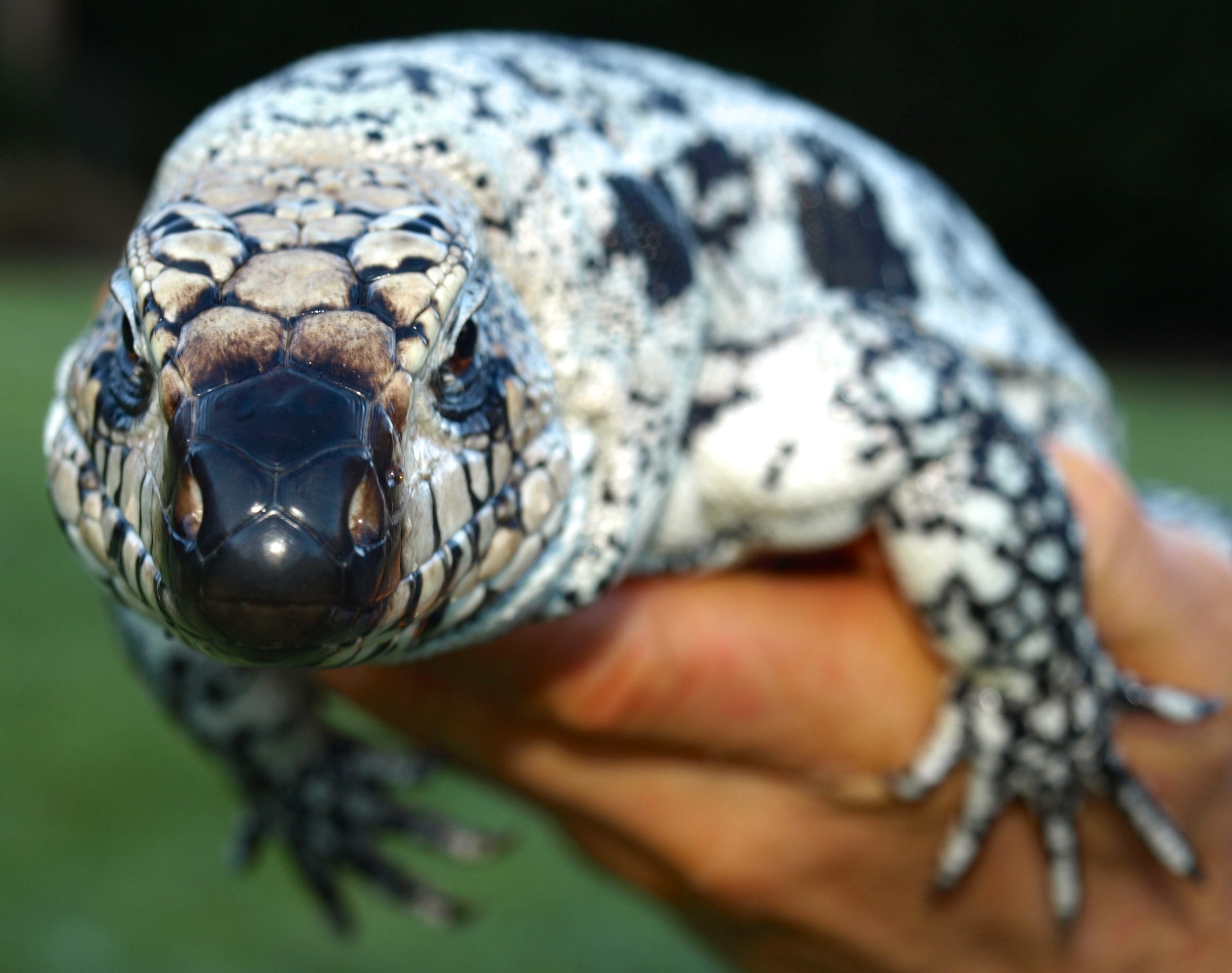 P1012589 - Version 2.JPG