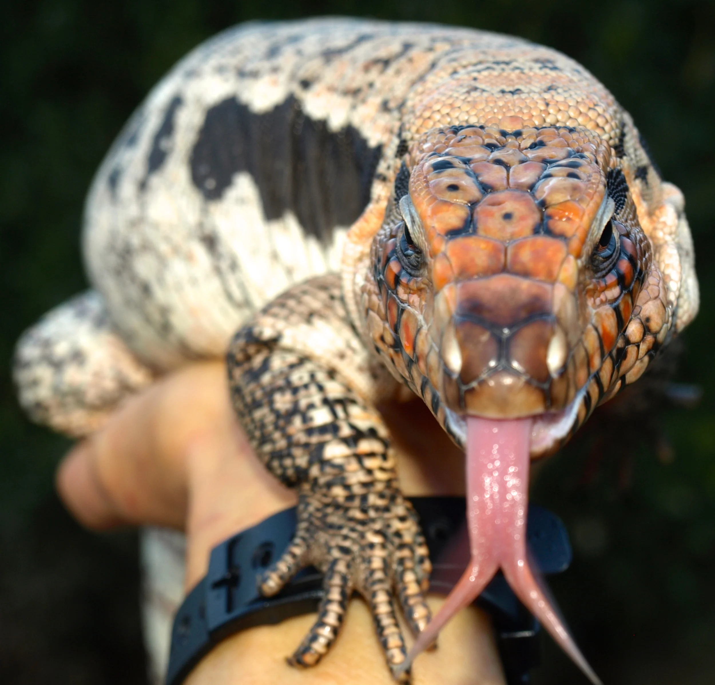 P1022742 - Version 2.JPG