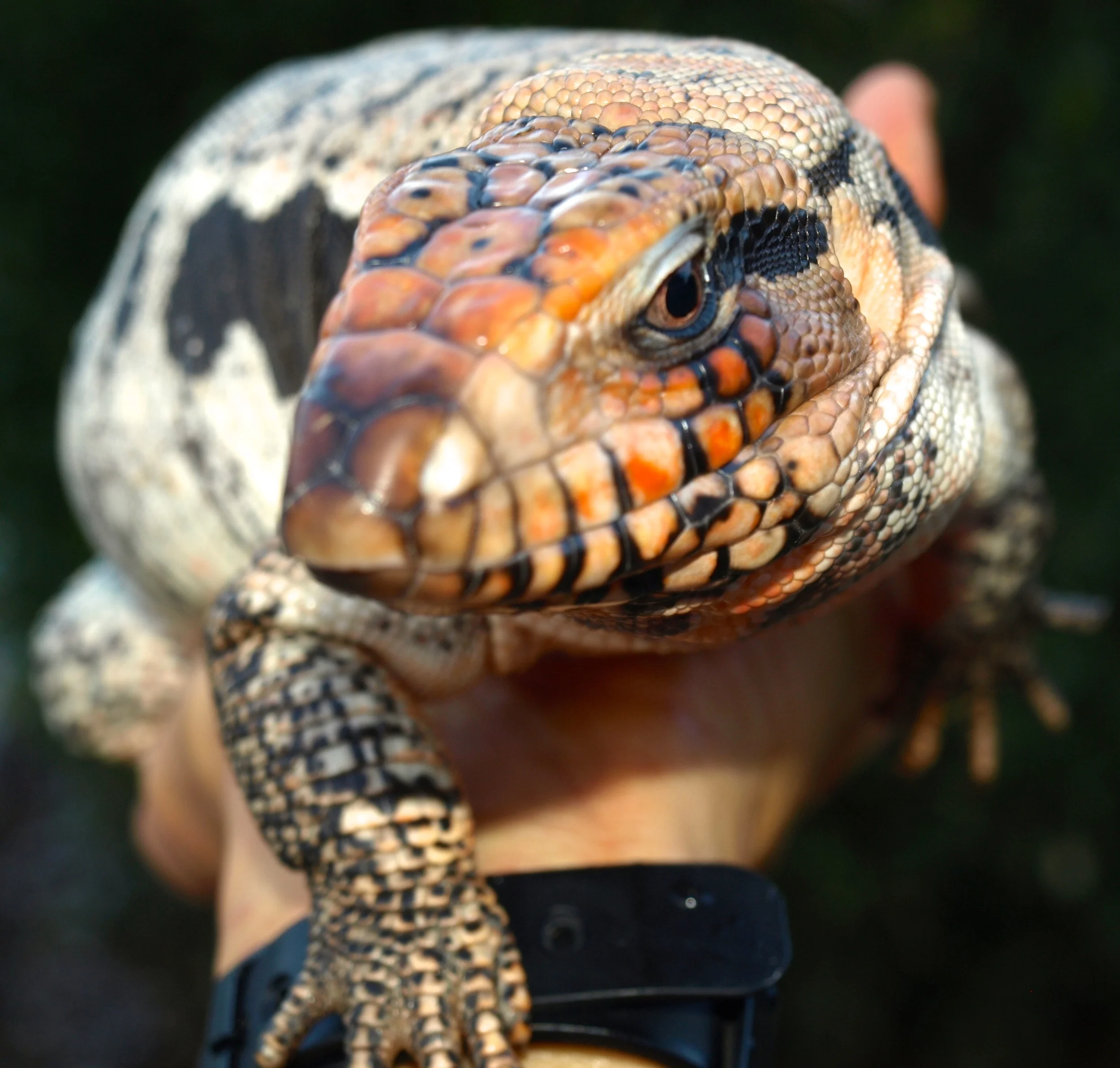 P1022746 - Version 3.JPG