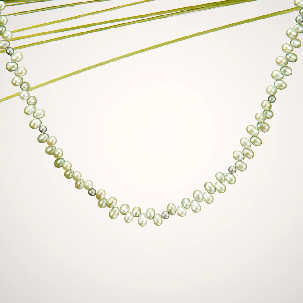 jade1 (1).jpg