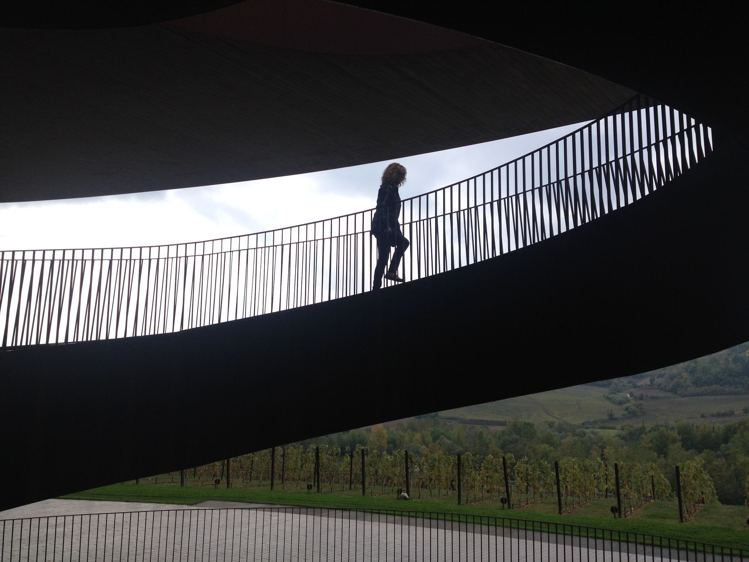 Lynne ascends the sculptural for-ten steel stairway at Antinori. "It was a magical place especially with the foggy drizzle that made me feel like I was in a dream as we looked over the luscious hills of Chianti. The wine pairing lunch was very special and the tour was just right."