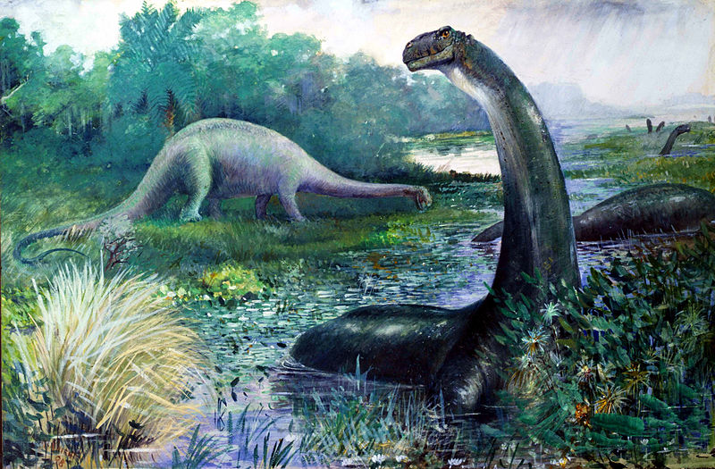 Brontosaurus , 1897. Charles Knight.