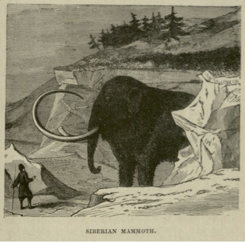 Half Hours Underground: Volcanoes, Mines, and Caves , 1888. 