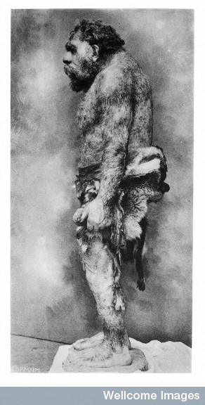 Credit: Wellcome Library, London. Restoration of a Neanderthal man in profile. Note single, simple tool.