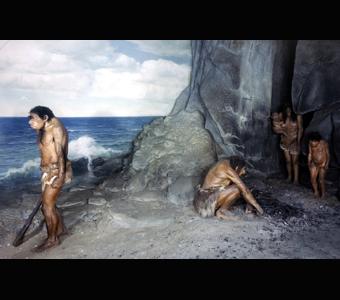 Neanderthal family diorama by Frederick Blaschke. Credit Information: © 1980 The Field Museum ID# CSA76895_Ac Photographer: Ron Testa