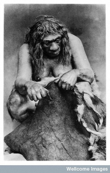 Credit: Wellcome Library, London. Restoration of a Neanderthal woman cleaning a reindeer skin. Note the single, simple tool and lack of hand dexterity.