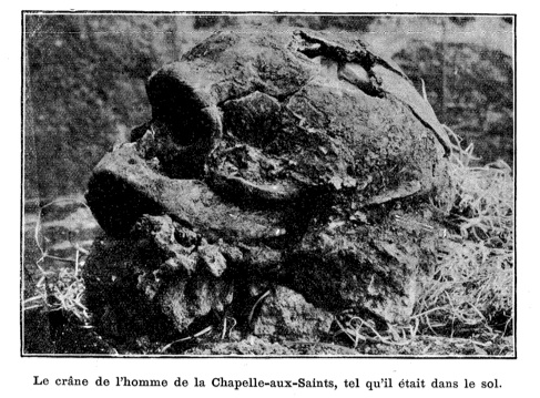 Cosmos . 3 Juillet 1909: 10-15. Photographer uncredited.