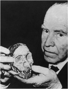 Raymond Dart, holding Taung Child. Courtesy of the University of Witwatersrand, Raymond Dart Archive.