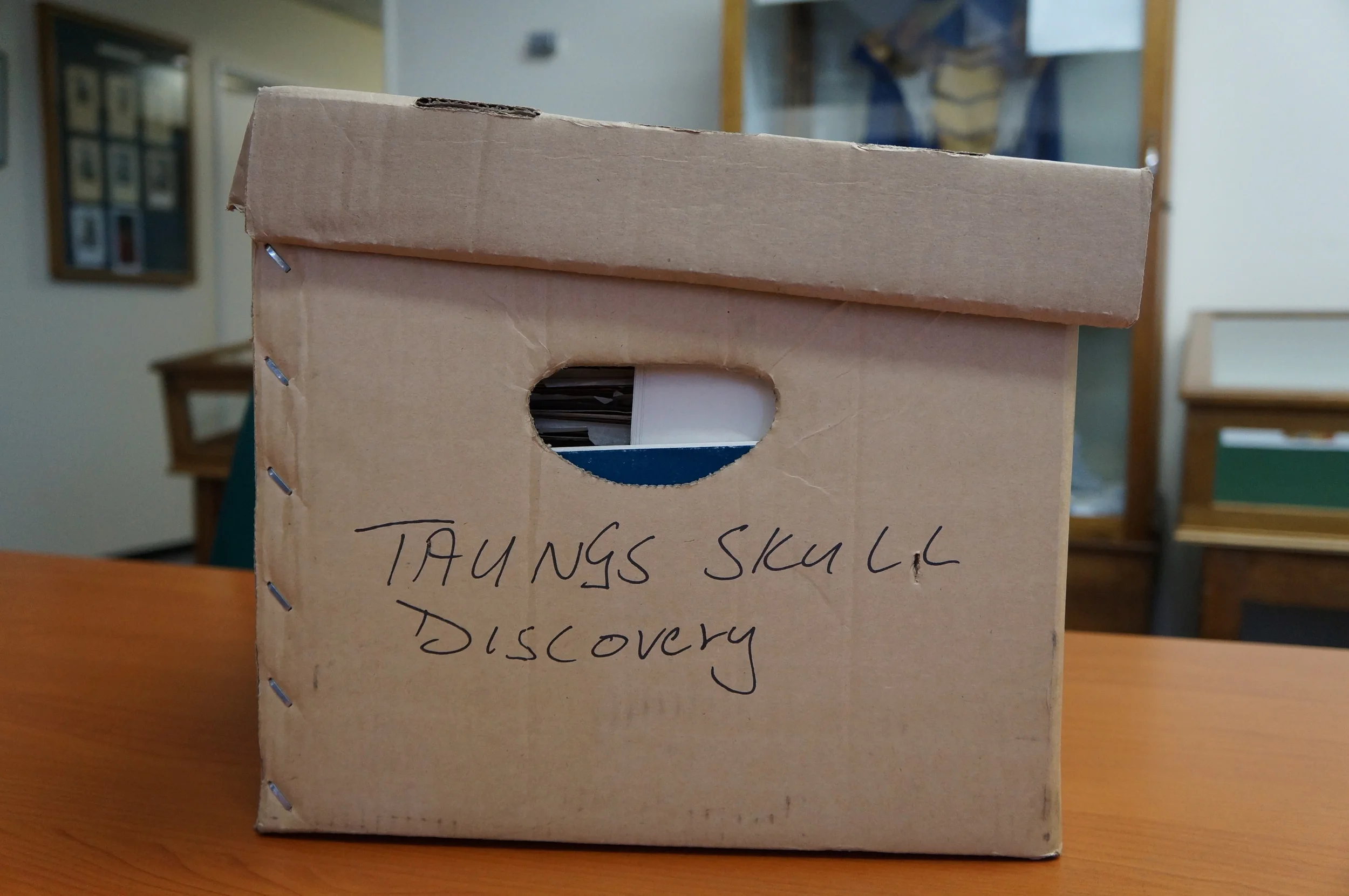 Taung Child archival materials, Raymond Dart Collection. Courtesy of the University of the Witwatersrand.