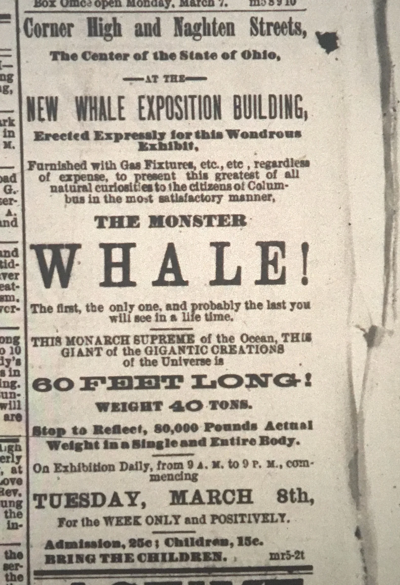 The Columbus Evening Dispatch , Tuesday, March 8, 1881, front page.