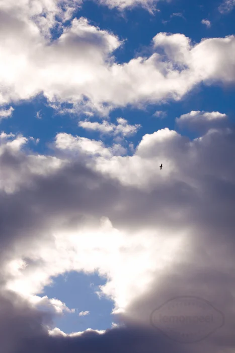 cloudy.jpg