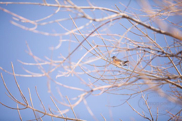 _MG_5167.jpg