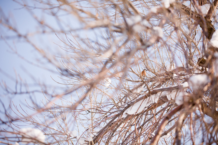 _MG_5171.jpg
