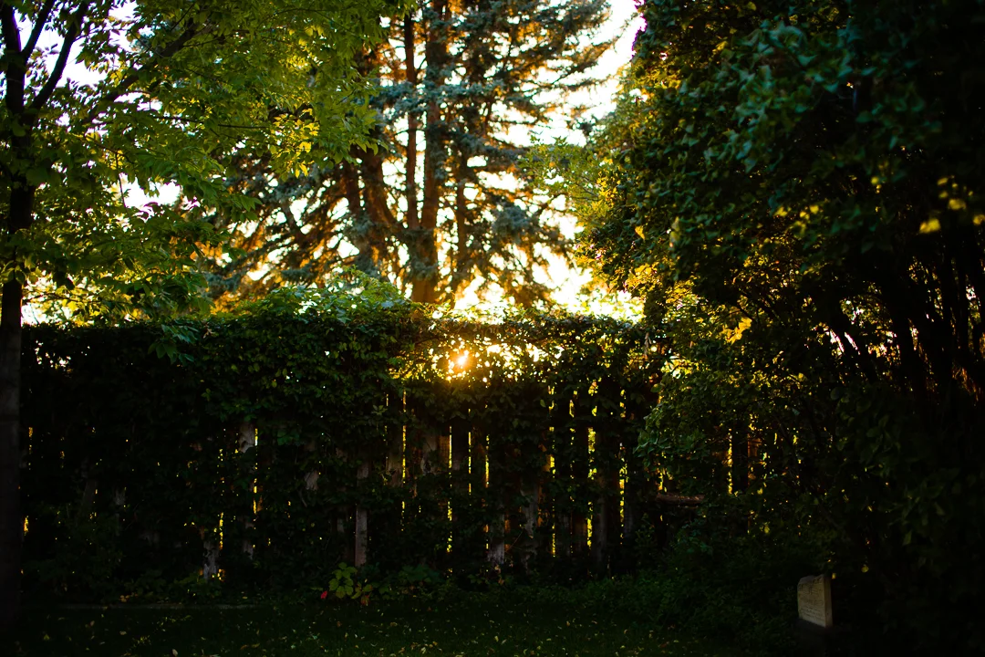 495C5853.jpg