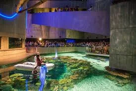 aquarium.jpeg