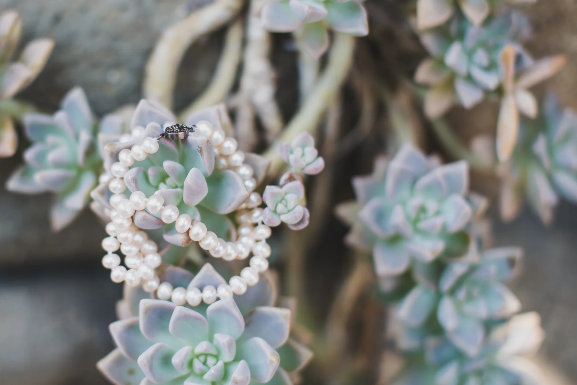 AVH_Photography0008.jpg
