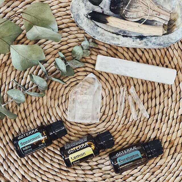 Major freshness for Thursday&rsquo;s BOGTWO 🌿 If you have them, put all 3 of these in your diffuser Rn. You&rsquo;re welcome.⠀
⠀
Buy Spearmint, Get Eucalyptus + Lemon for Free.⠀
⠀
SPEARMINT is like peppermint&rsquo;s milder cousin with similar respi