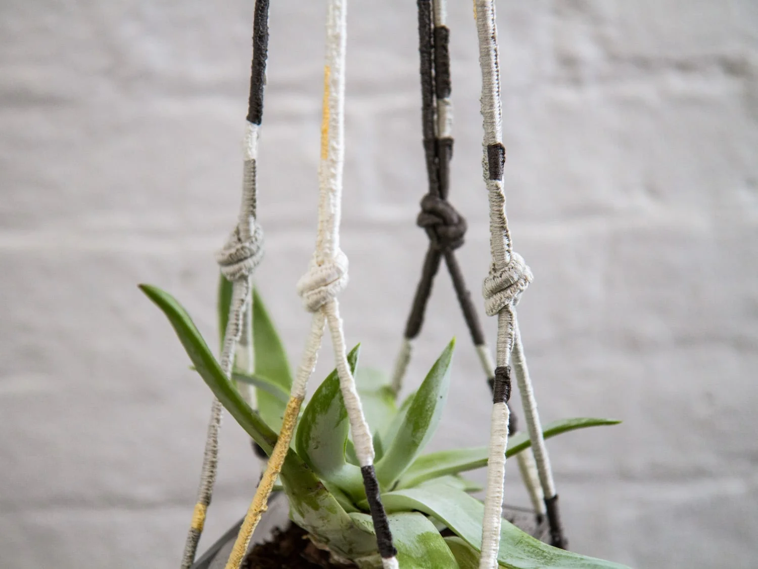 Friends Macrame-5348.jpg