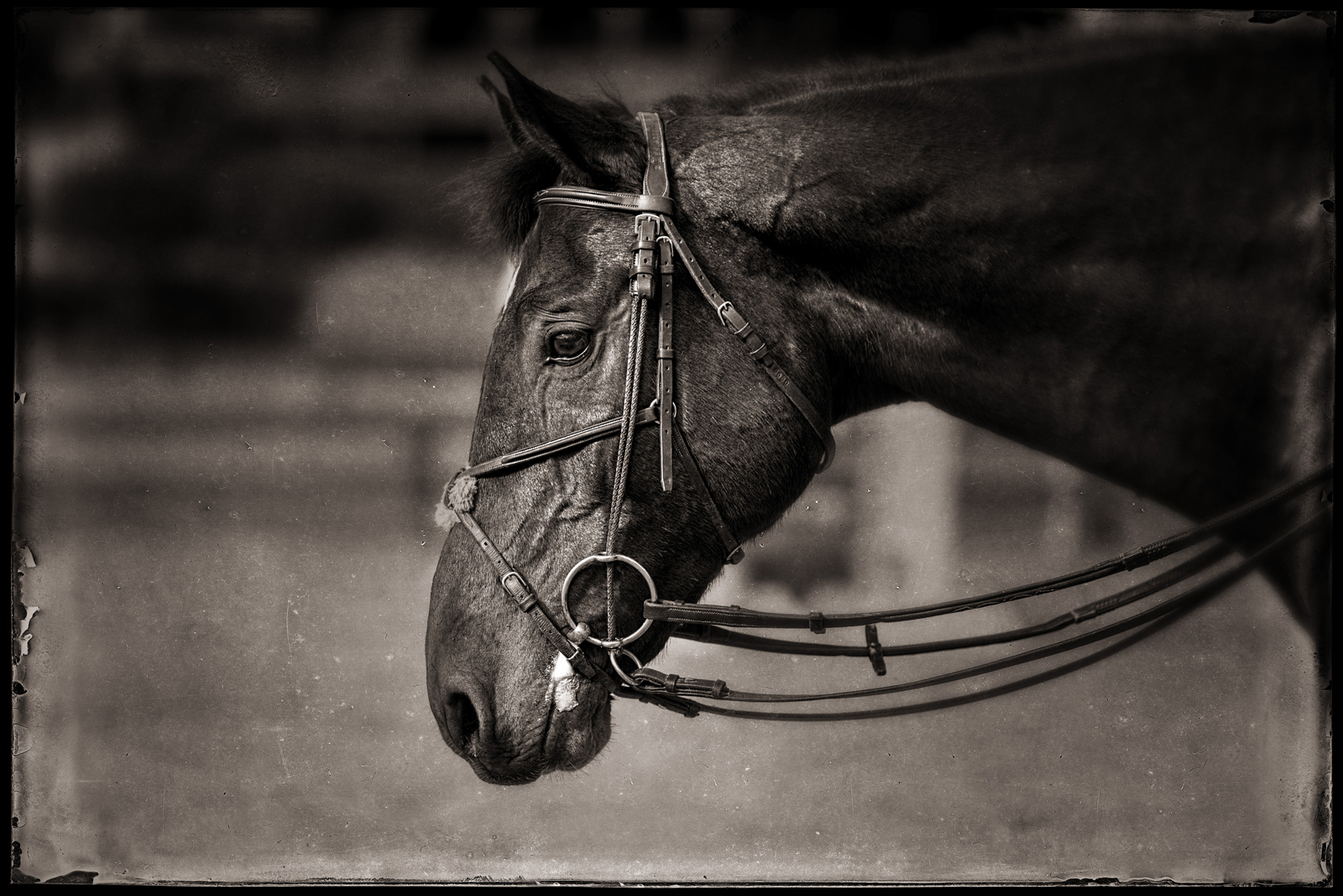 MKW 340125-Edit full res final.jpg