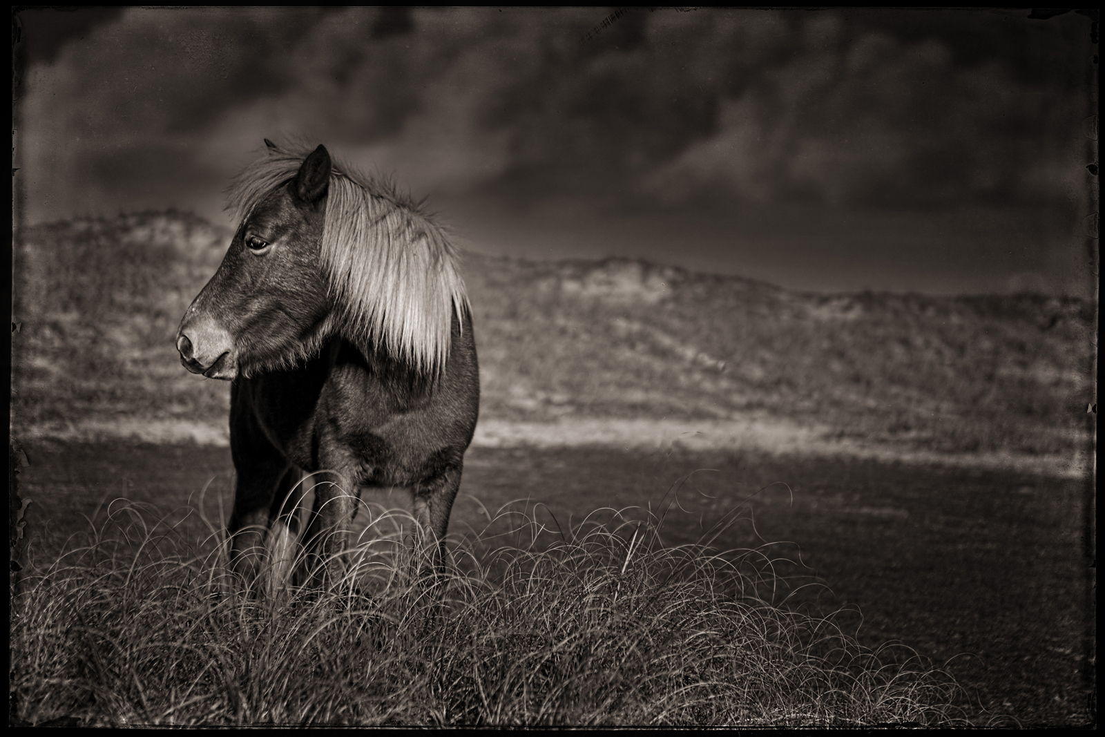 Mare on Dune