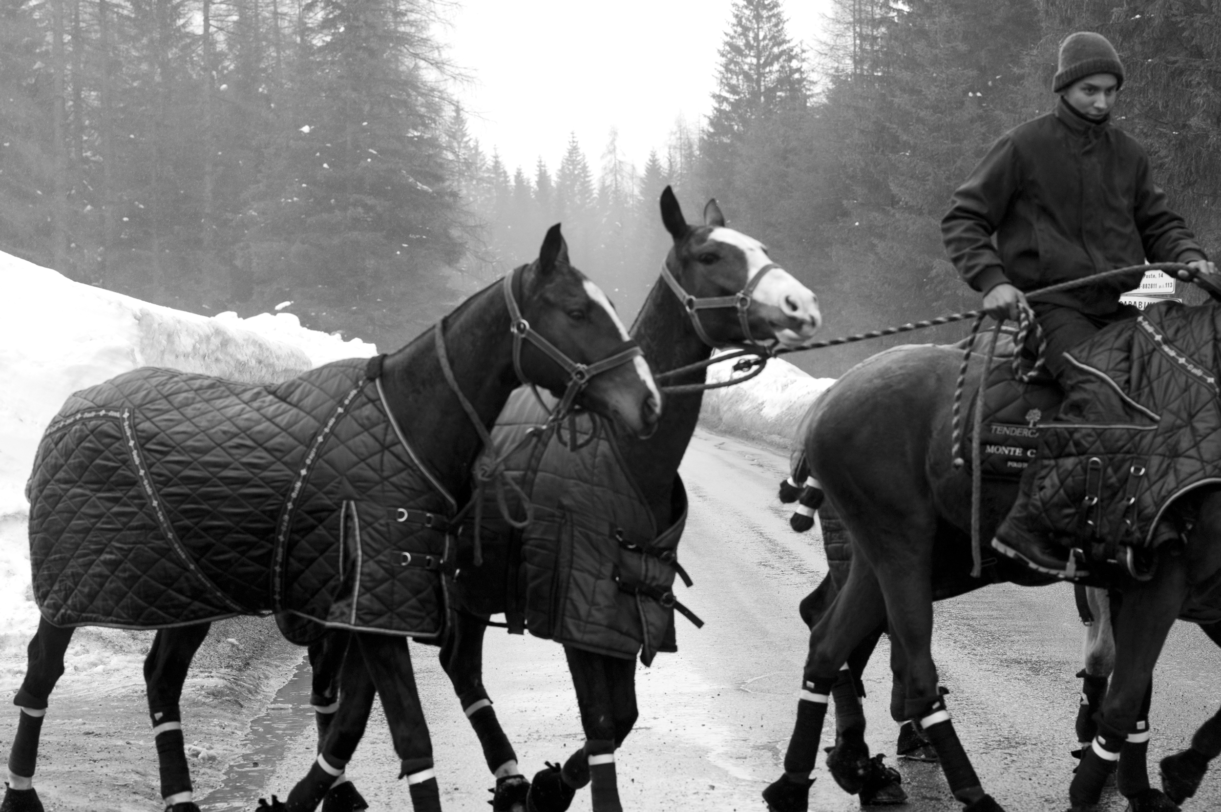 Coming Home