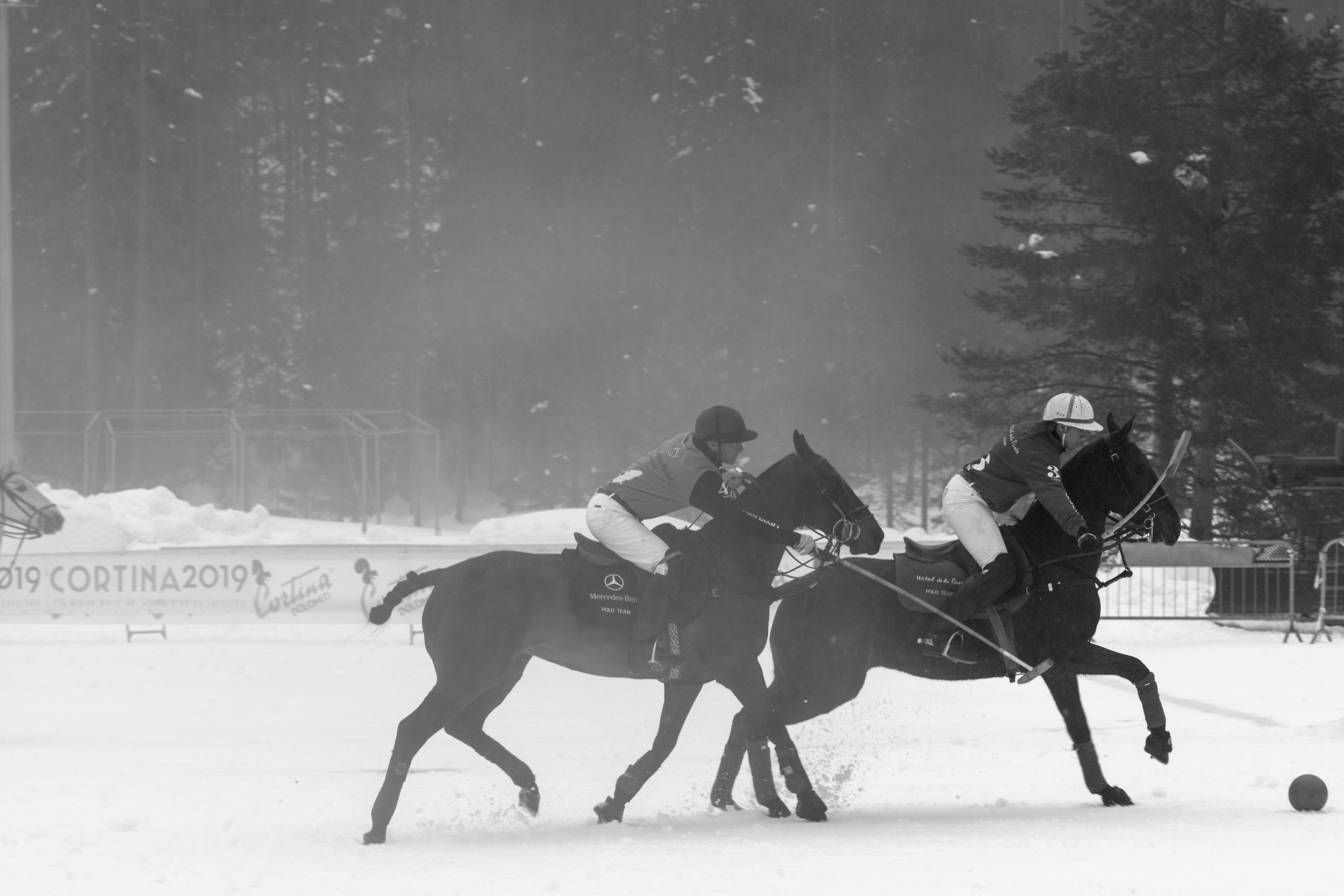 Polo Classic