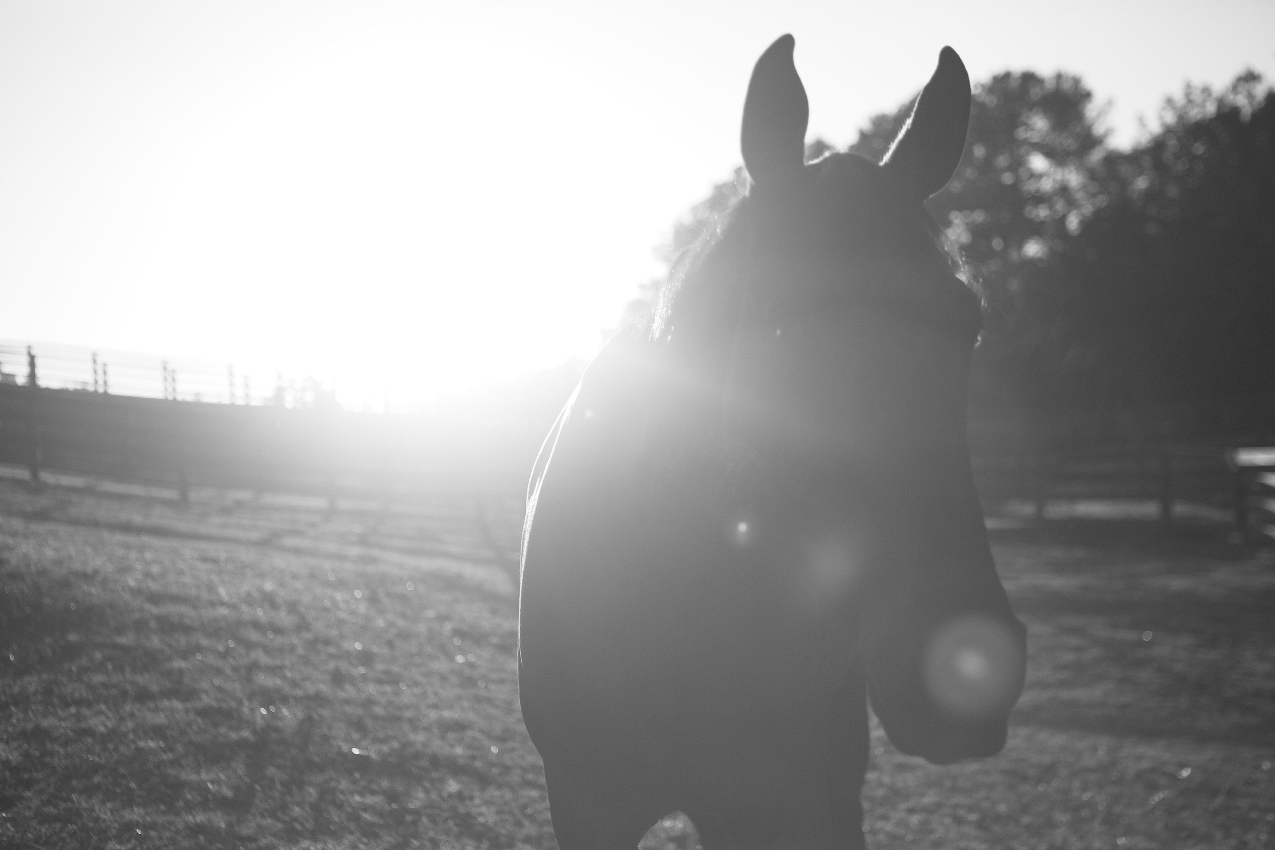 Ray of Light
