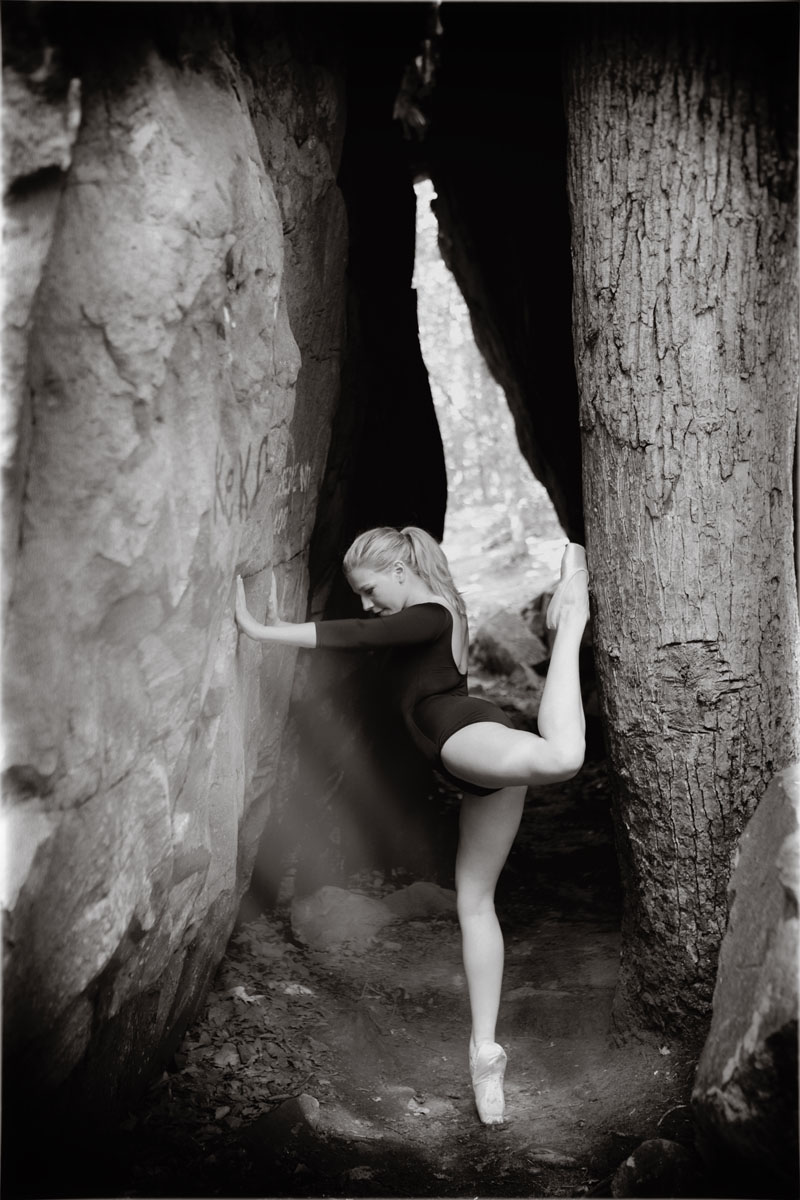 Dance and Nature II