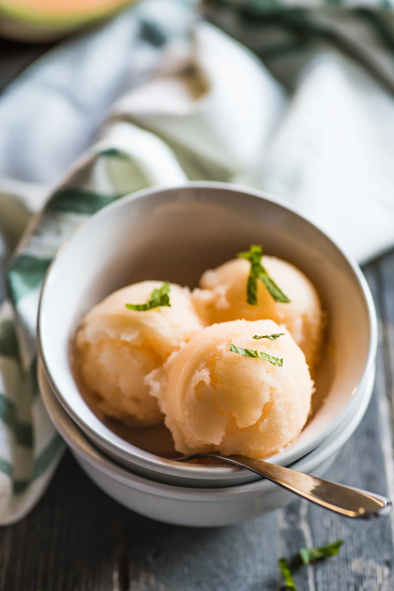 cantaloupe-5.jpg