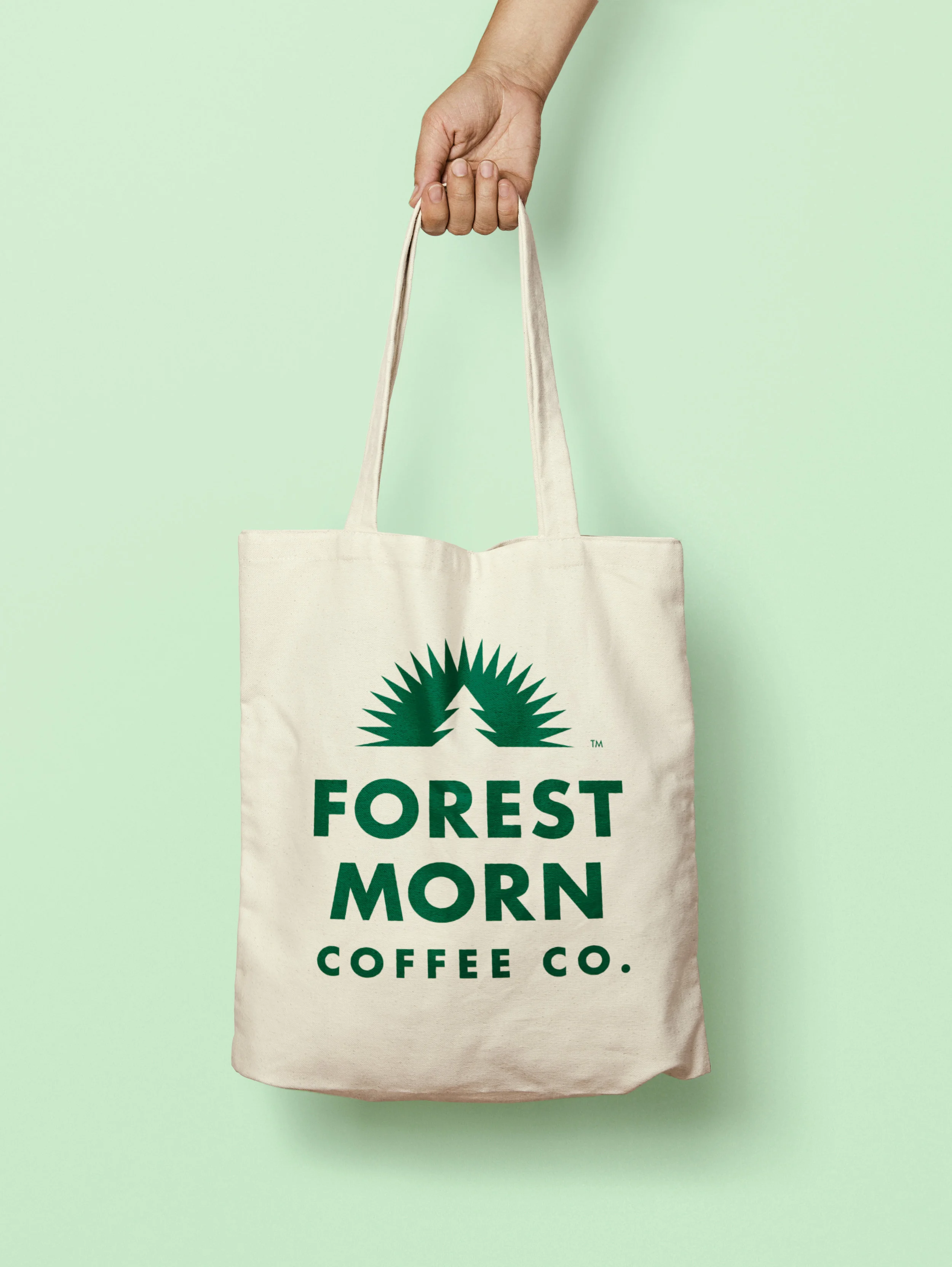 HH_ForestMorn_05.jpg