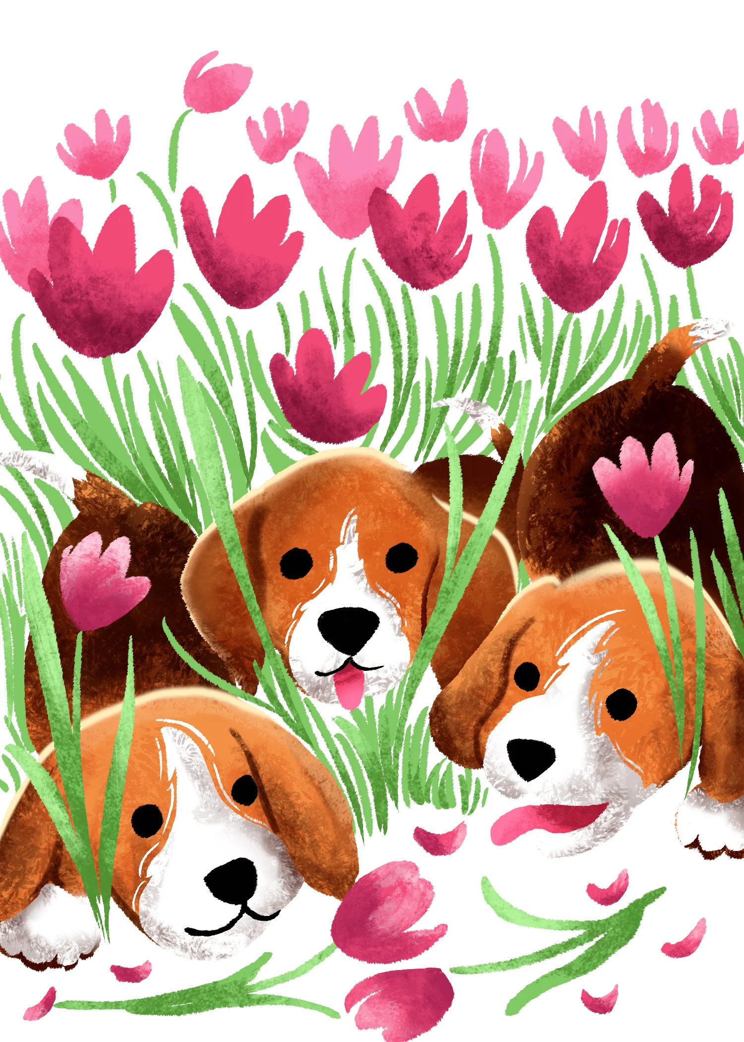 beagle.jpg