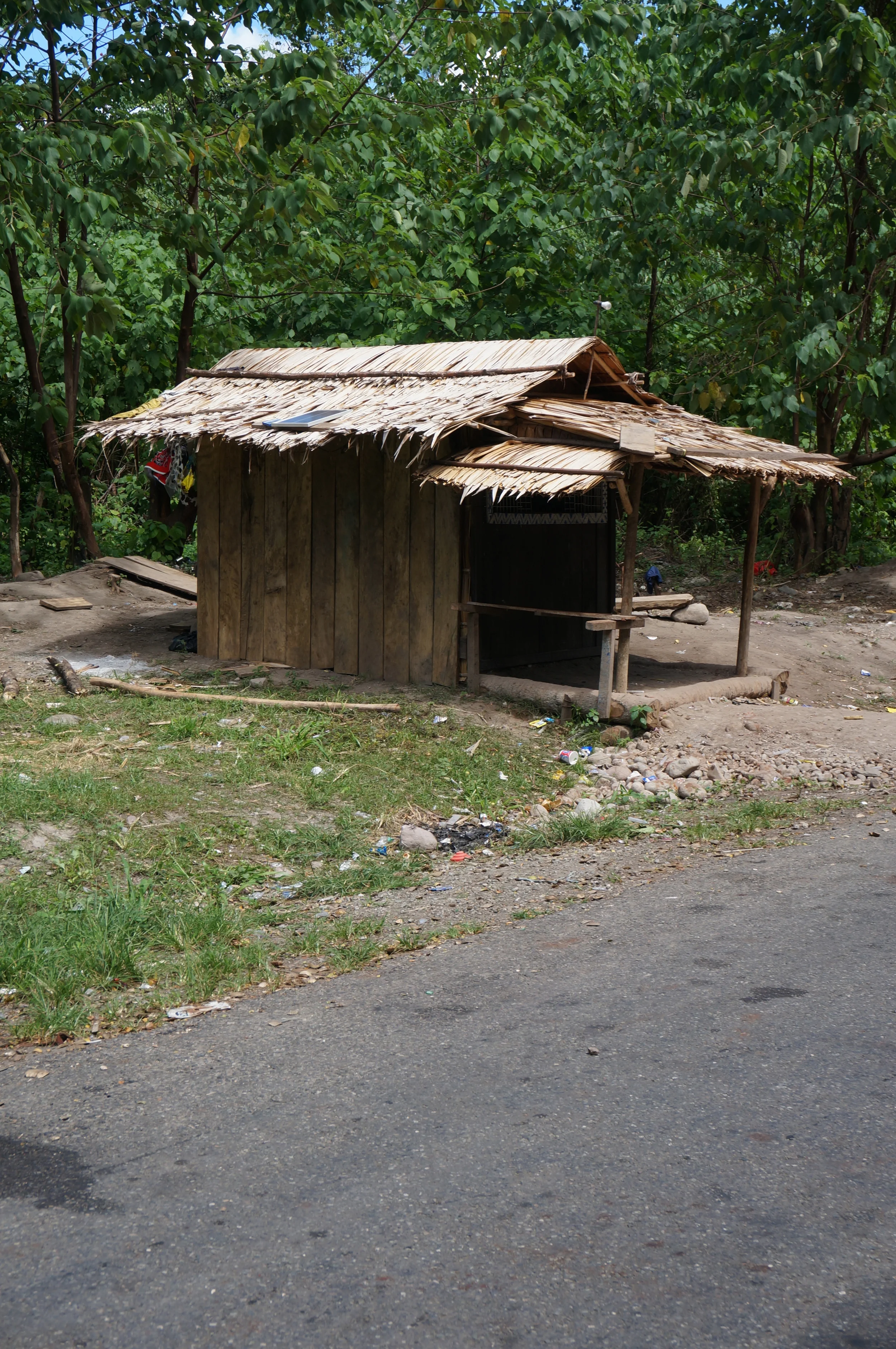 A typical banana leaf hut