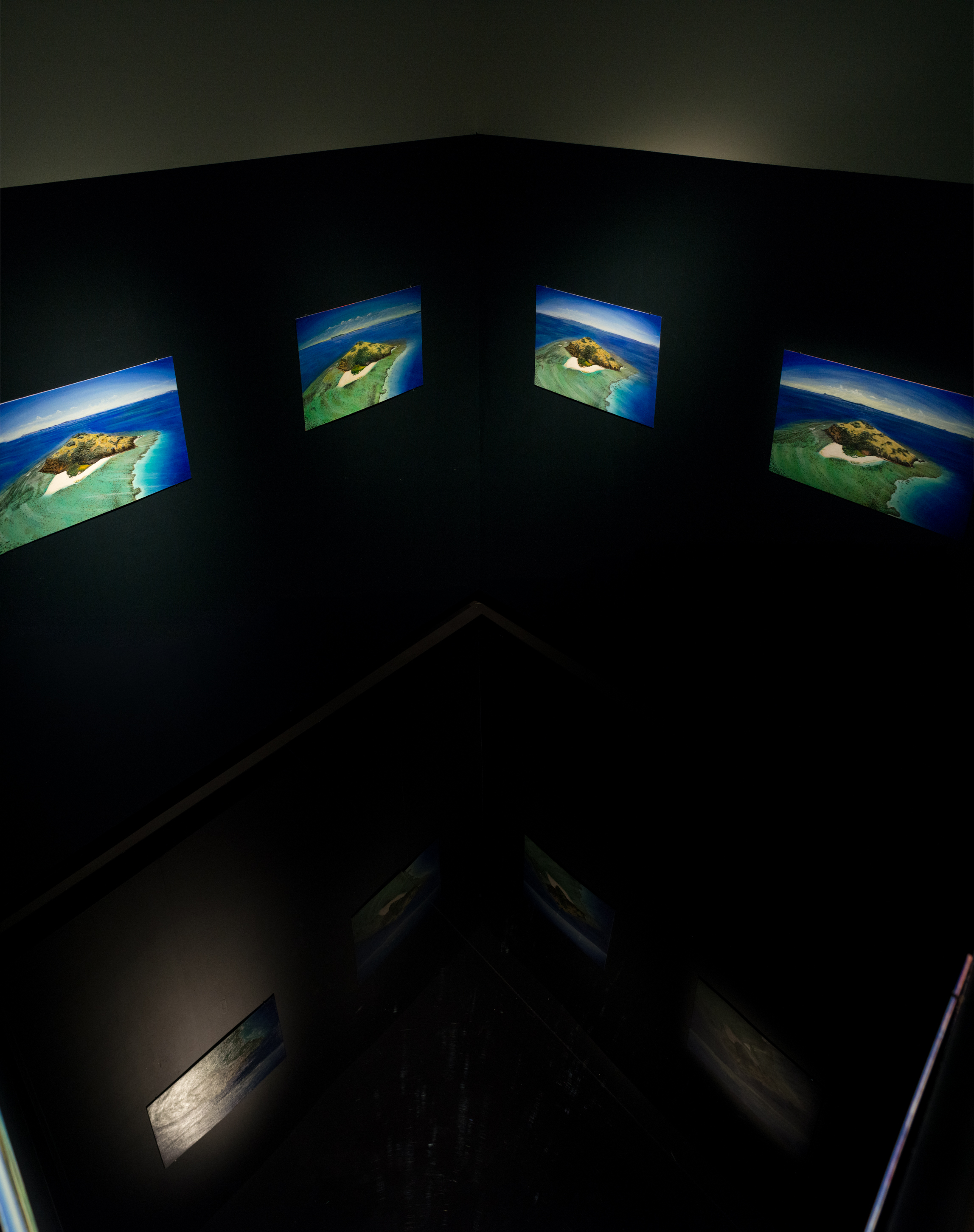 Pacific mindedness, 2013-2016 acrylic and oil on canvas and prefabricated room dimensions variable (detail)