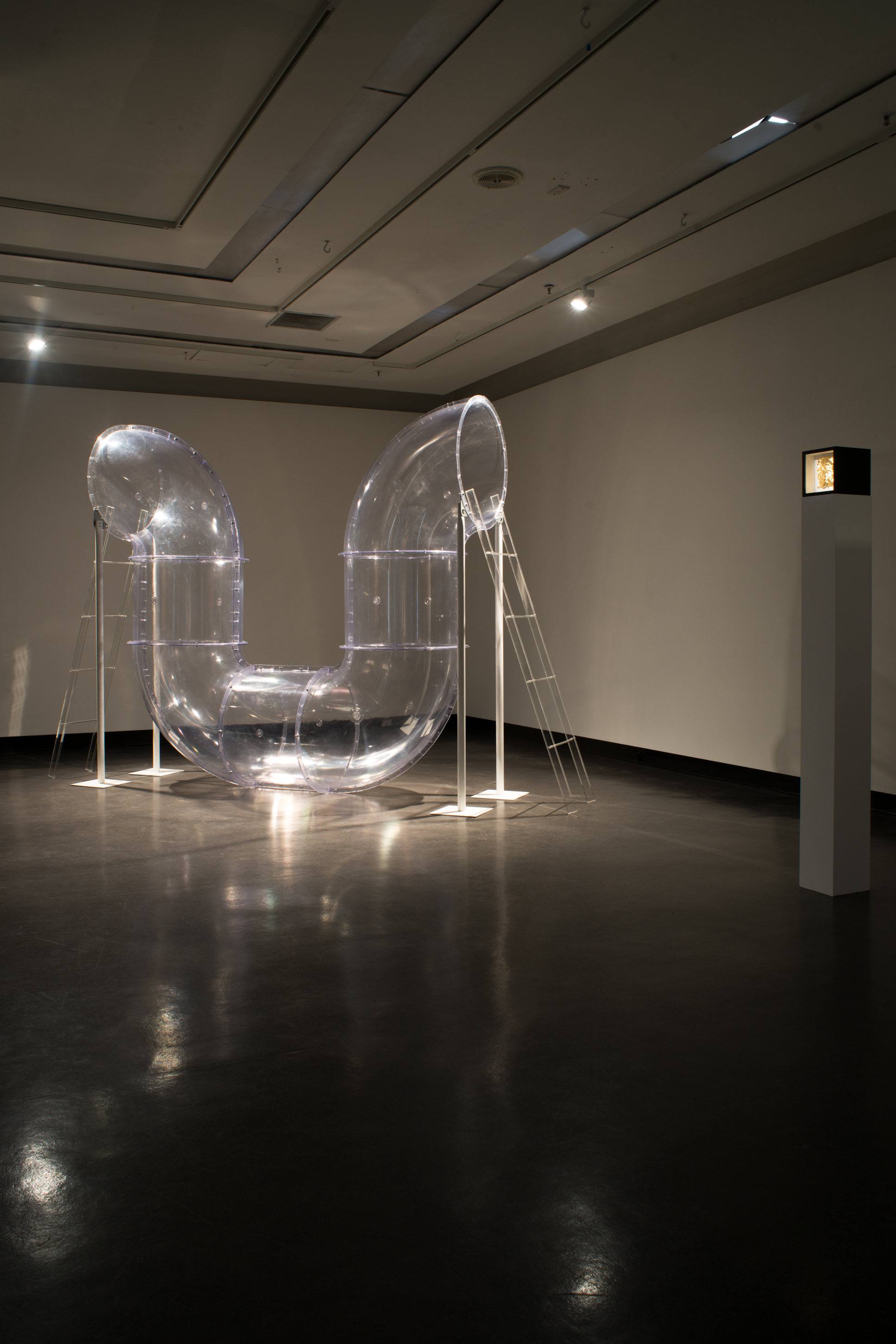 installation view - Mirror state and The truth is a copy