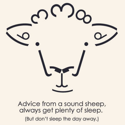 Advice from a sheep