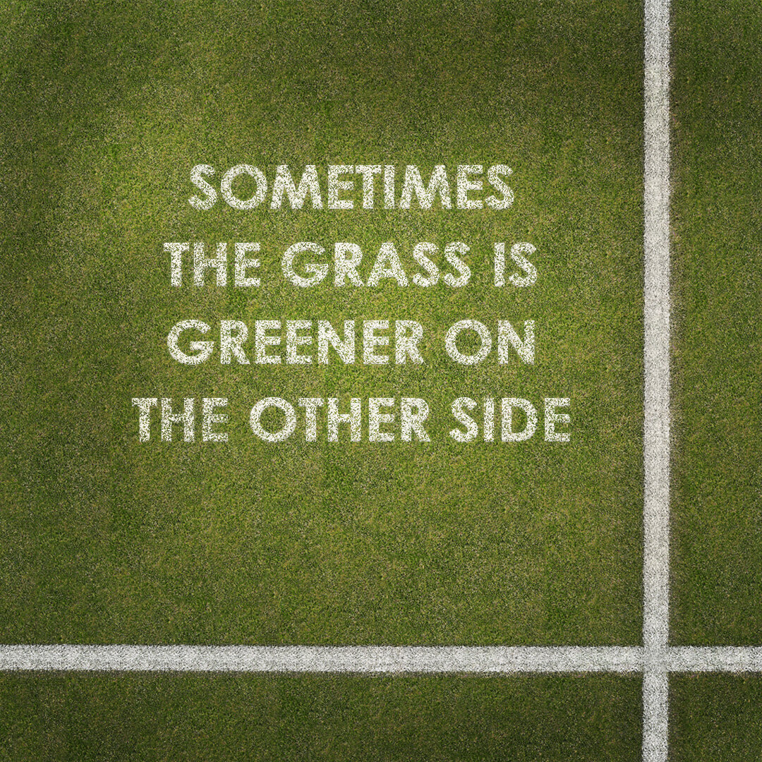 Sometimes Grass is Greener .jpg
