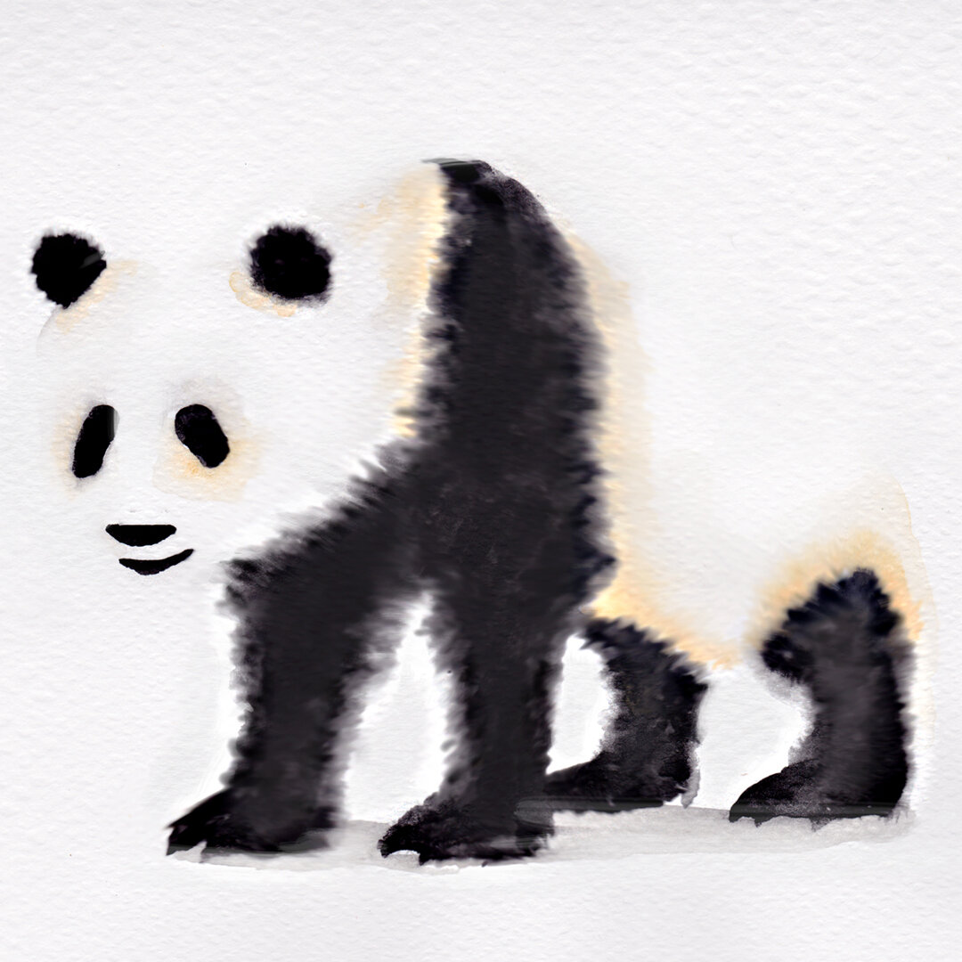 Panda Watercolour illustration.jpg