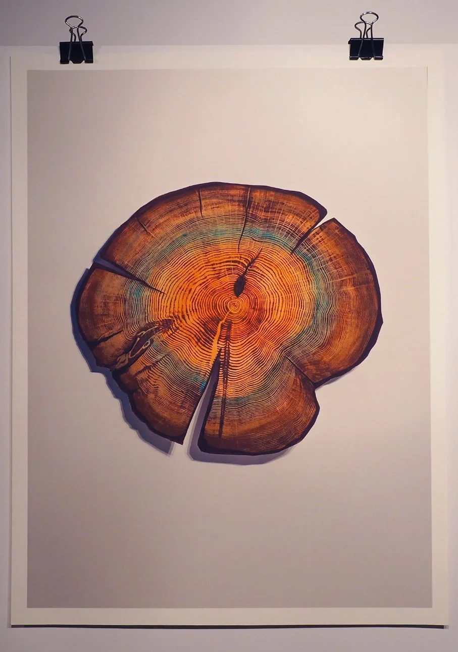 Wood rings in Flat_V2.jpg