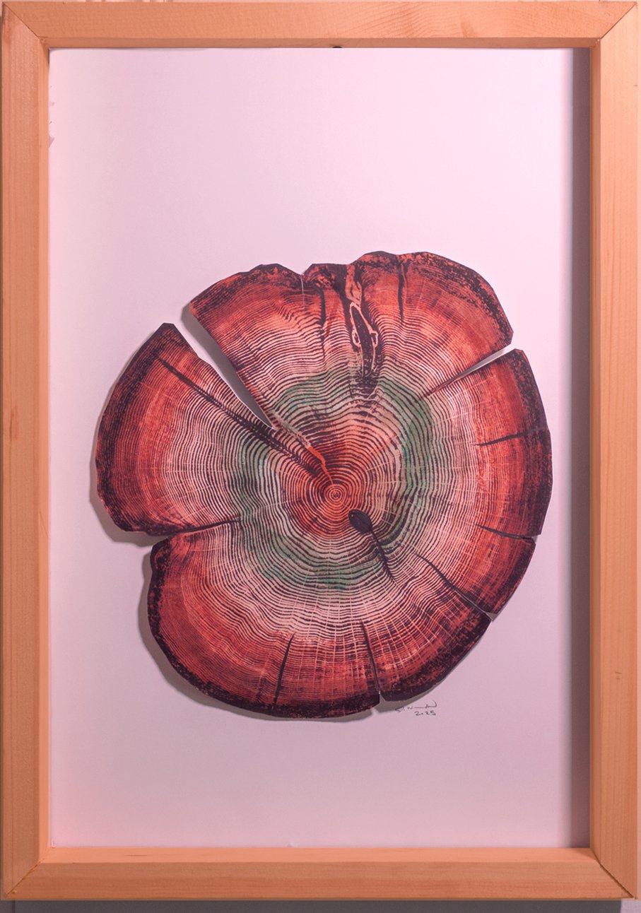 Wood rings in Frame_V2.jpg