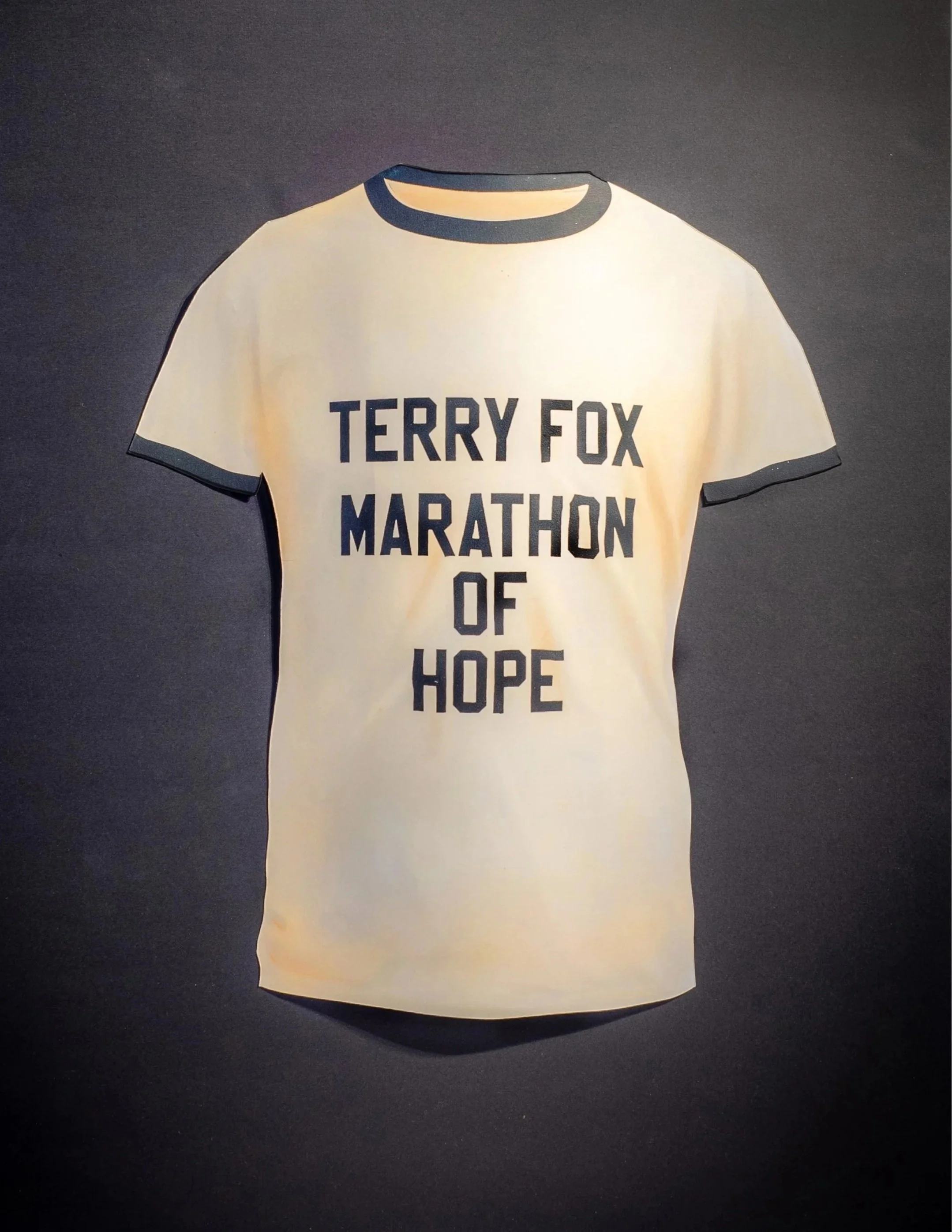 Terry%2BFox.jpg